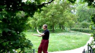 Zheng Dao Tang Wing Chun 广州咏春\