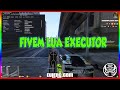 FiveM Lua Executor + Anti Cheat Blocker Bypass + Lua Menus + Dumper to get server files.
