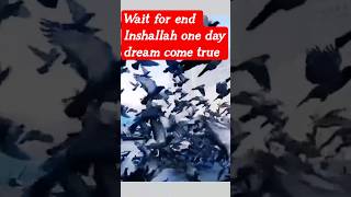subhanallah|,walhumdulila| #shortvideo #arabic #islamicringtone #islamicstatus
