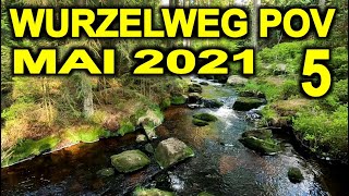 WURZELWEG POV PART 5 Karches Bischofsgrün Weißmain-Ochsenkopf-Steig Naturpfad Weißmaintal Ochsenkopf