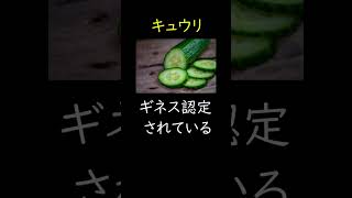 【雑学07】キュウリのギネス記録など