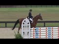 for love 4yo champion at princeton show jumping round one