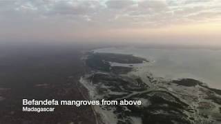 Befandeva Mangroves from above, Madagascar