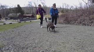 Outdoor activities pick up as the first day of spring arrives