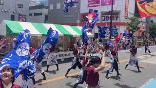 武蔵國よさこい連一心『波に千鳥』／第19回 浦和よさこい（2024/07/21）@南浦和駅 東口駅側本部前A会場