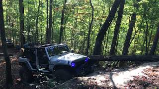 Jeep JKU crawling Shotgun trail Hollerwood