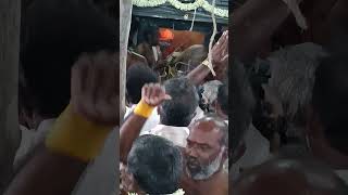 சொக்கநாதன்புத்தூர் கீழுர் மாரியம்மன் கோயில் திருவிழா