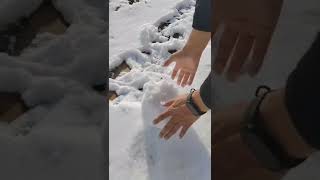 东北打雪仗的雪球怎么来的