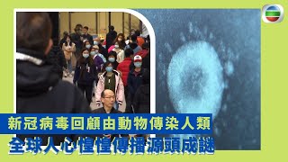 健康360 TVB｜新冠病毒回顧由動物傳染人類 全球人心惶惶傳播源頭成謎 冠狀病毒易變種回看03年沙士 由中介哺乳類動物傳播  宿主是蝙蝠駱駝冠狀病毒分4類｜最強生命線