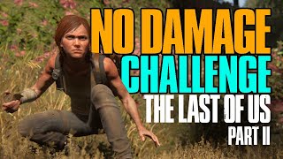 Can You Beat The Last of Us Part 2 Without Damage?