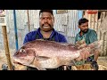 KASIMEDU SPEED SELVAM FISH CUTTING VIDEO