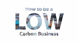 Low Carbon Business in West Sussex: how can we begin to cut carbon?