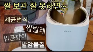 쌀 보관 제대로 하고 계신가요? ㅣ진공쌀통 최저가 공동구매 ㅣ디디오랩 진공쌀통