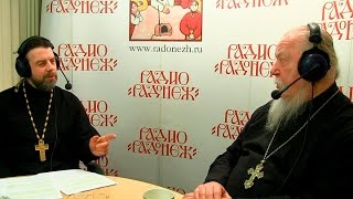 Радио «Радонеж». Протоиерей Димитрий Смирнов. Видеозапись прямого эфира от 2017.01.28