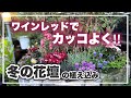 ワインレッドでキメる‼︎アンティーク花壇の植え込み【花壇】