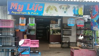 My Life Aquarium | Upgraded | Mangalam - Tirupur | #promo | Saheem Fish Farm