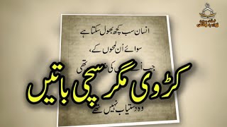 Hazrat Ali as Ki Eham Farman | Imam Ali Quotes in Urdu | Zuhaib Voice | مولا علی علیہ السلام