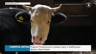 Сімейна справа: Родина Плазинських утримує одну з найбільших ферм у Братківцях