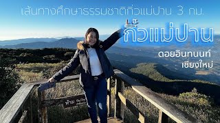 กิ่วแม่ปาน-ดอยอินทนนท์ เชียงใหม่ 2022 | เส้นทางศึกษาธรรมชาติกิ่วแม่ปาน 3 กม.ชิวไม่ชิว เดี๋ยวรู้กัน !