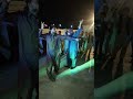 Afghan jalebi song dance