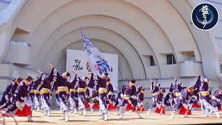 藍なり 原宿表参道元氣祭スーパーよさこい2024 １日目　代々木公園ステージ【月詠～TSUKIYOMI～】