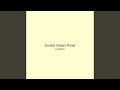Sunset Ocean Pulse