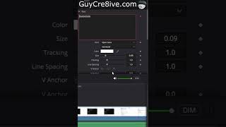 Add Timer DaVinci Resolve 20 👆 Full Above