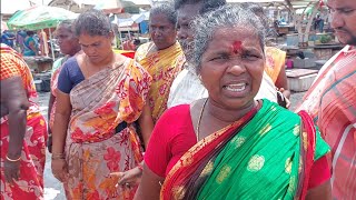 Snaper and Vanjaram yallam kasimedu fish market chennaiகலர் சங்கரா வஞ்சரம் ஏலம் மீன்மார்கட் காசிமேடு