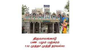 7.52 திருஆலங்காடு - முத்தா முத்தி தரவல்ல