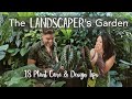 The Landscape Architect's Garden Tour | 18 TIPS to CREATE your own TROPICAL PARADISE