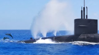 US Submarine Diving Like a Blue Whale During Race With Dolphins