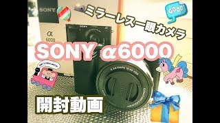 α6000開封　選んだ理由も　初めてデジタルミラーレス一眼レフをGET！