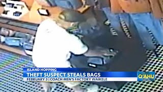 HPD look for theft suspect caught on camera