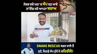 ਜੇਕਰ ਕਦੇ ਘਰ 'ਚ ਸੱਪ ਵੜ ਆਵੇ ਤਾਂ ਇੰਝ ਕਰੋ ਆਪਣਾ ਬਚਾਅ! Snake Rescue ਕਰਨ ਵਾਲੇ ਤੋਂ ਸੁਣੋ