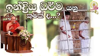 ඉන්ද්‍රිය ධර්ම යනු කුමක් ද..? | Most Ven. Kiribathgoda Gnanananda Thero