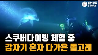 스쿠버다이빙 체험 중 갑자기 사람에게 혼자 다가온 돌고래