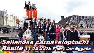 Sallandse Carnavaloptocht Raalte 11 02 2018