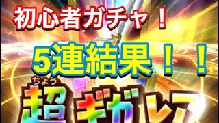 【星ドラ】 デビューしました！初心者ガチャ5連結果！