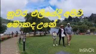 Nuwara eliya vlog|Gregory Park|නුවර එලිය|ග්‍රෙගරි පාර්ක් එක බලන්න යමු