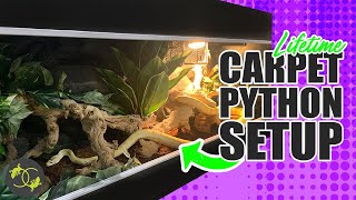 How to Setup an Adult Snake Enclosure - Cookies Critters - 2021