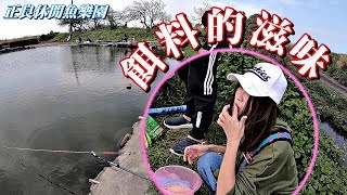 【亦起來釣魚】釣魚前先來試試今天調的餌料合不合魚的胃口吧！