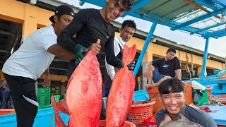 pendaratan hasil tangkapan TRF1217 Duyung17 di jeti LKIM Pulau Kambing