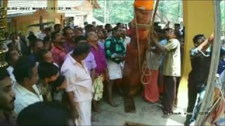 Unique Ritual (Dwaja Prathishta) in Olavilam Thrikkannapuram Sree Krishna Temple