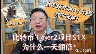 比特币 Layer2项目STX为什么一天翻倍？早上收到法国教练的滑雪猫NFT！数字新文明入门课程的教学安排！～Robert李區塊鏈日記1681