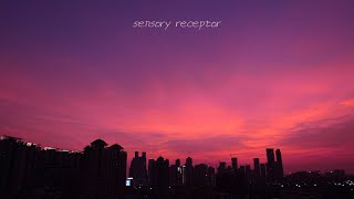 𝐏𝐥𝐚𝐲𝐥𝐢𝐬𝐭  A city with a purple sunset, calm emotional music that's good to listen to in the evening