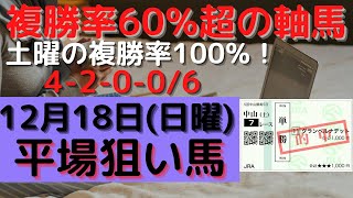 【競馬予想】１２月１８日の平場勝負レース該当馬（２レース）！複勝率６０％超の軸馬（５レース）の配信！