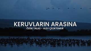 Keruvların Arasına [Sözlü Video | Hristiyan İlahisi]