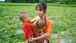 Single mother raising two children, Harvest melons to sell, Take care of childre