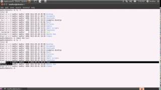 Shell Scripting Tutorial 10 Change File Permissions Using 'chmod' YouTube
