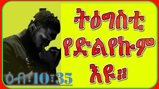 #ferelesanabew/ትዕግስቲ የድልየኩም'ዩ።